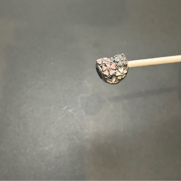 Pandora Charm - Picture 7 of 7